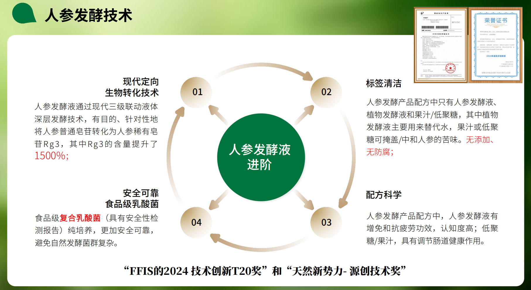 人參發酵技術2 人參發酵技術2